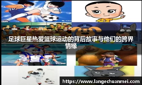 江南JNSport体育