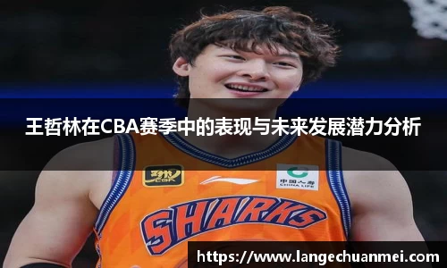 王哲林在CBA赛季中的表现与未来发展潜力分析